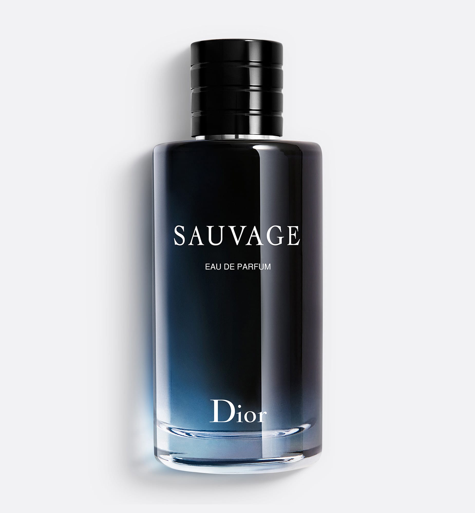 Perfume Sauvage Daior 100ml